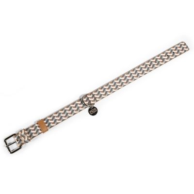 Pet Collar