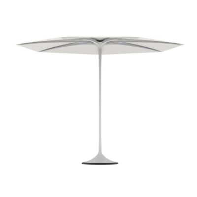 Palma Umbrella with Frame