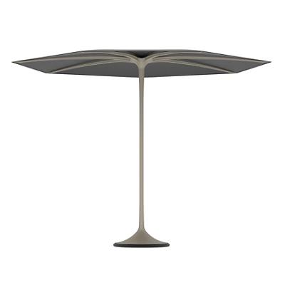Palma Umbrella with Frame
