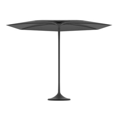 Palma Umbrella with Frame