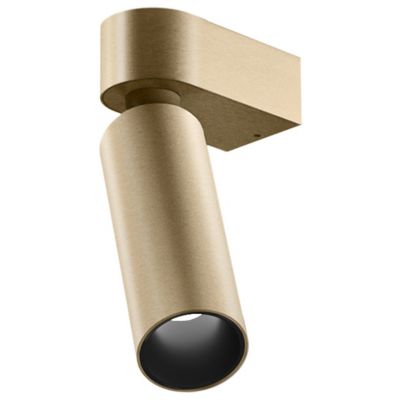 C1 Mono LED Wall Spot Light