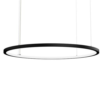 Circus Round Small Acoustic Lighting LED Pendant