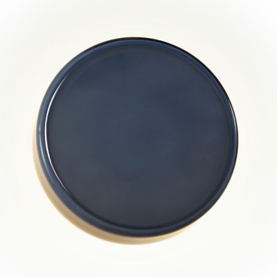 Caramel LED Wall Sconce with Disk