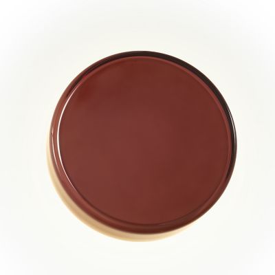 Caramel LED Wall Sconce with Disk