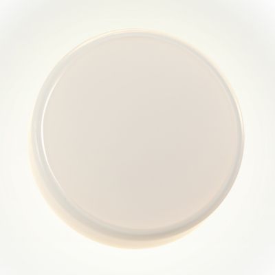 Caramel LED Wall Sconce with Disk