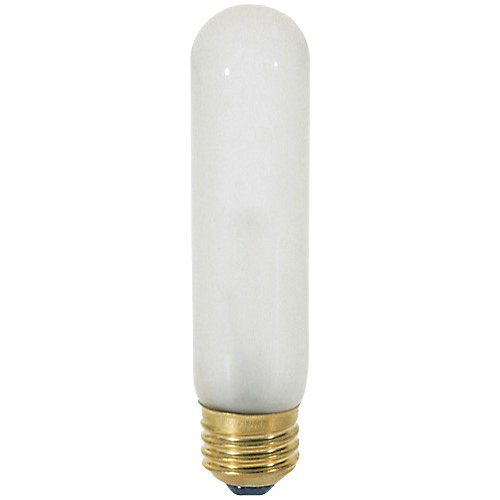 25W 120V T10 E26 Frosted Bulb 4-Pack