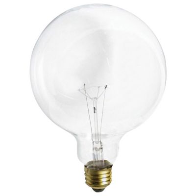 25W 120V G40 E26 Clear Bulb 2-Pack