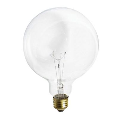 a standard 100w 120v light bulb