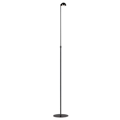 Horoscope LED Floor Lamp