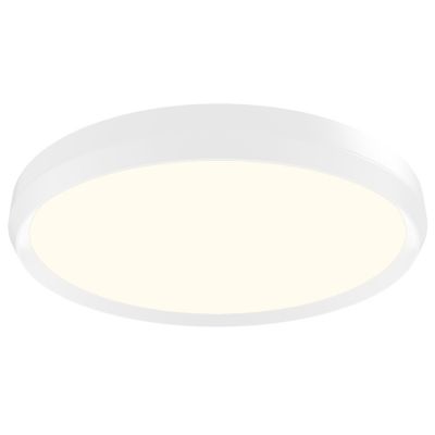 Skylight LED Round Flushmount