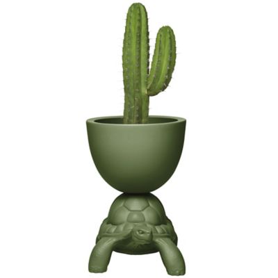 Turtle Carry Indoor/Outdoor Planter