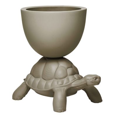 Turtle Carry Indoor/Outdoor Planter