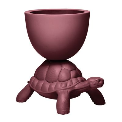 Turtle Carry Indoor/Outdoor Planter