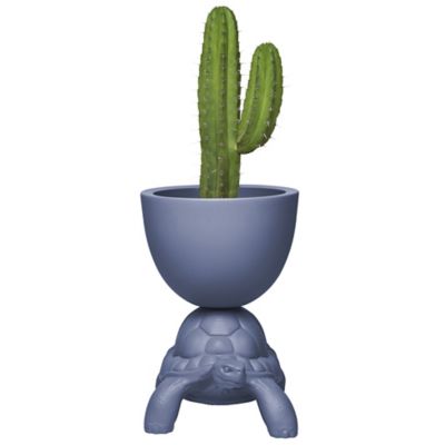 Turtle Carry Indoor/Outdoor Planter