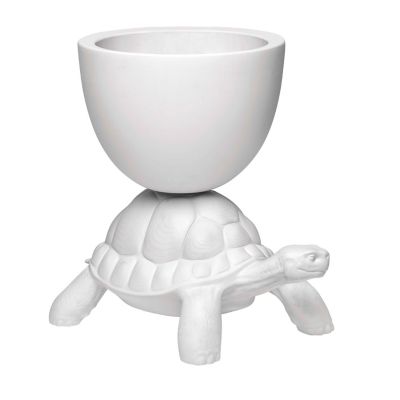 Turtle Carry Indoor/Outdoor Planter