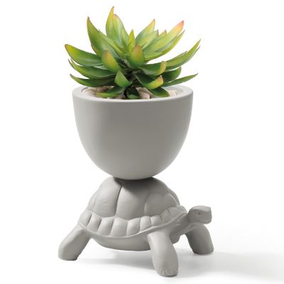 Turtle Carry XS Planter