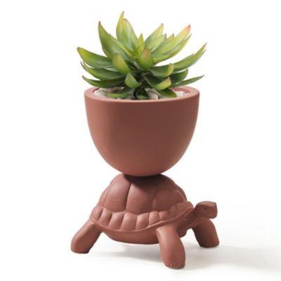 Turtle Carry XS Planter