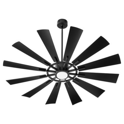 Cirque Ceiling Fan