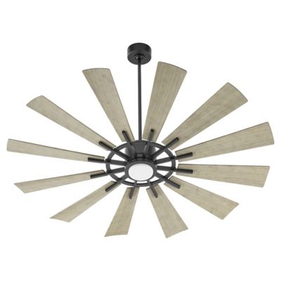 Cirque Ceiling Fan