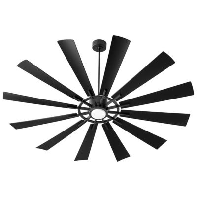Cirque Ceiling Fan