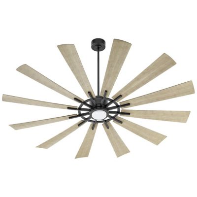 Cirque Ceiling Fan