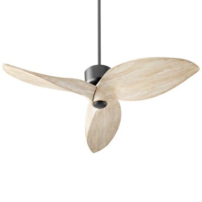 Hawkeye Ceiling Fan