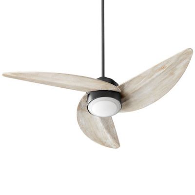 Trinity LED Ceiling Fan