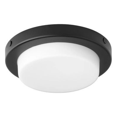 Trio LED Light Kit