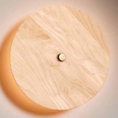 Pith Wood LED Wall Sconce