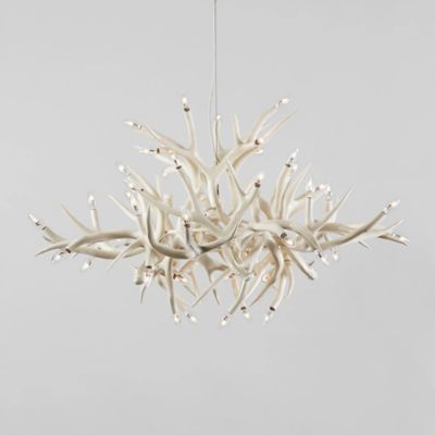 Superordinate Antler Chandelier - 24 Antlers