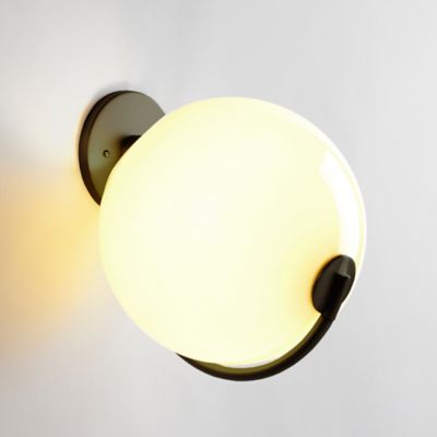 Fiddlehead Wall Sconce