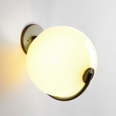 Fiddlehead Wall Sconce