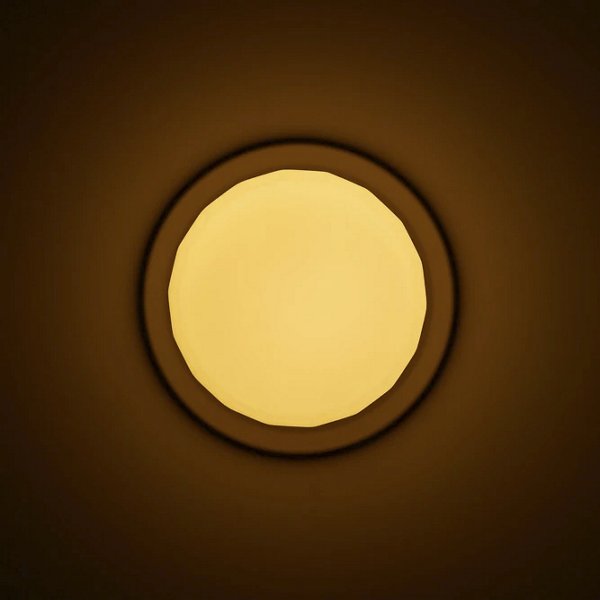 Pastille Disc Wall Sconce