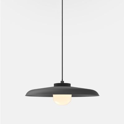 Hoist Pendant Light (Matte Black|Large)-OPEN BOX