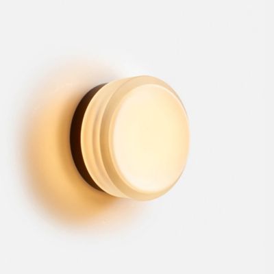 Copia Wall Sconce(Frosted with Black Anodized|3000)-OPEN BOX