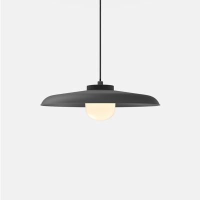 Hoist LED Pendant