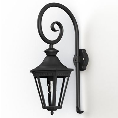 Victoria Swan Neck Outdoor Wall Sconce