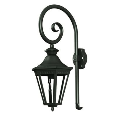 Victoria Swan Neck Outdoor Wall Sconce