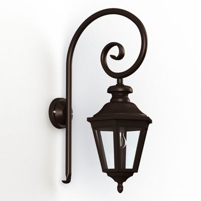 Louis 13 Swan Neck Outdoor Wall Sconce