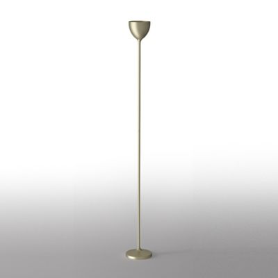 Drink LED Floor Lamp