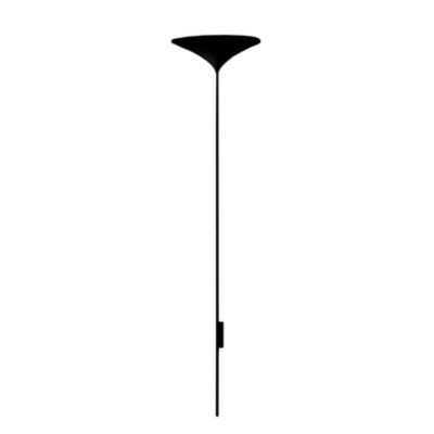 Sunset W1 Wall Sconce