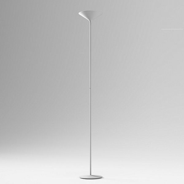 Dry LED Floor Lamp