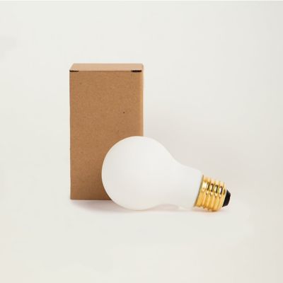6W 120V/220V A19 E26 White DTW LED Bulb