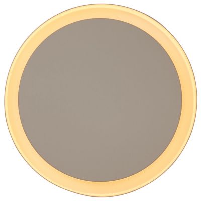 Amigo LED Outdoor Ceiling/Wall Light