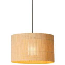 Plug In Ceiling Lights Plug In Ceiling Light Fixtures At Lumens Com