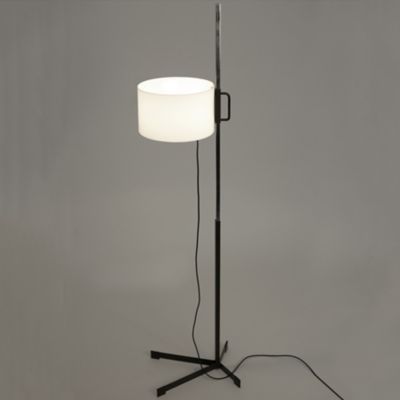 TMC Floor Lamp