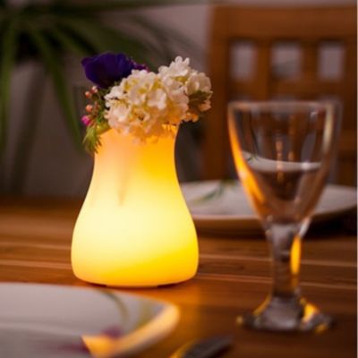 Olio Bluetooth LED Indoor/Outdoor Lamp