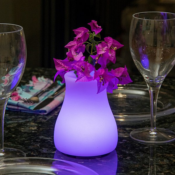 Olio Bluetooth LED Indoor/Outdoor Lamp