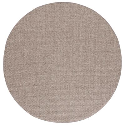 Woven Sisal Indoor/Outdoor Area Rug