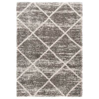 Nordari Trellis Shag Area Rug